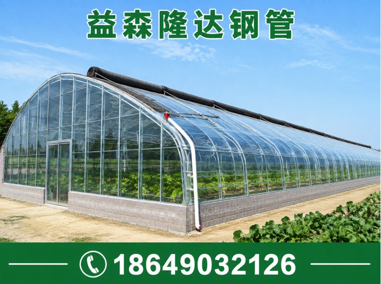 津南区日光温室大棚，连栋温室大棚，单体大棚，塑料大棚，育苗大棚，养殖大棚展示图